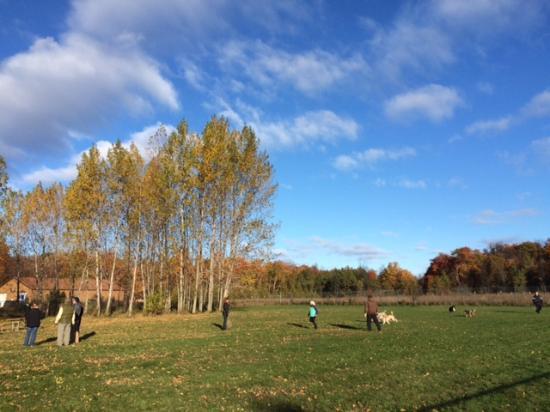 Sister Bay Dog Park & Community Garden